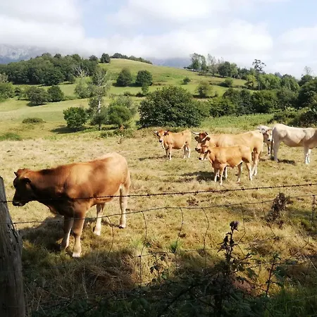 Casa Oriental Country house Cereceda (Asturias)